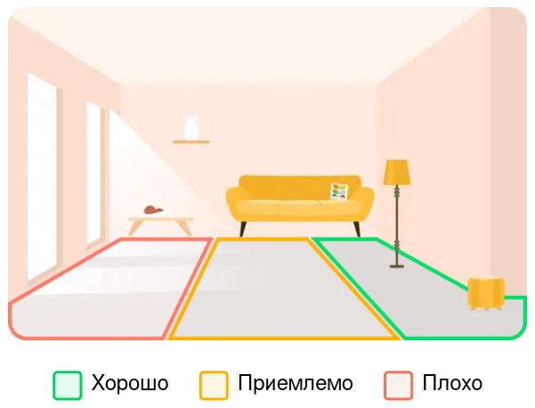 Лучшее место по освещению для пеперомии туполистной